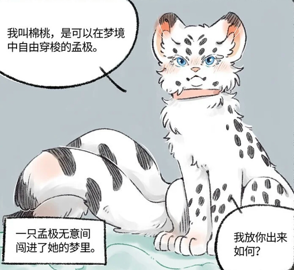 棉桃